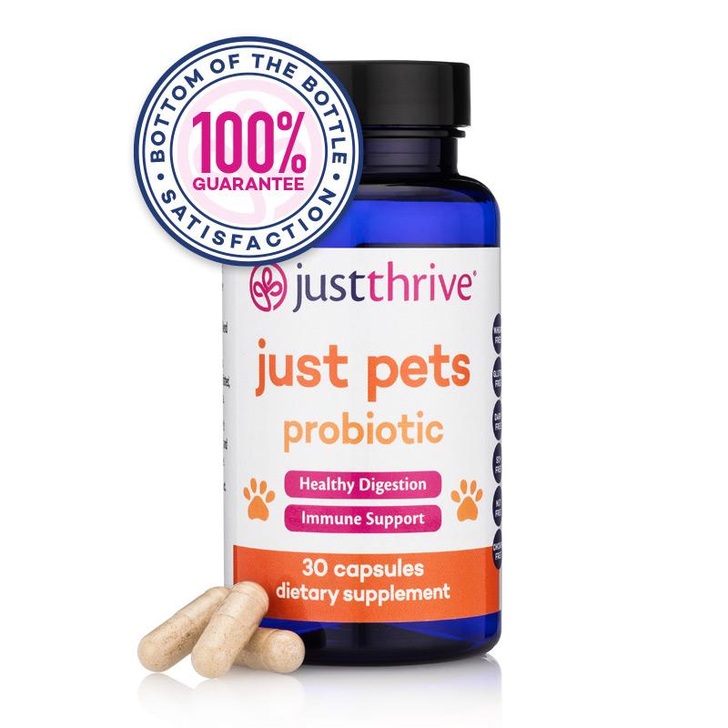 Just Pets Probiotic