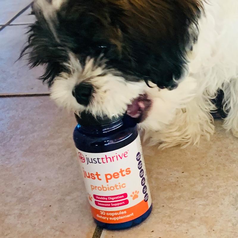 Just Pets Probiotic